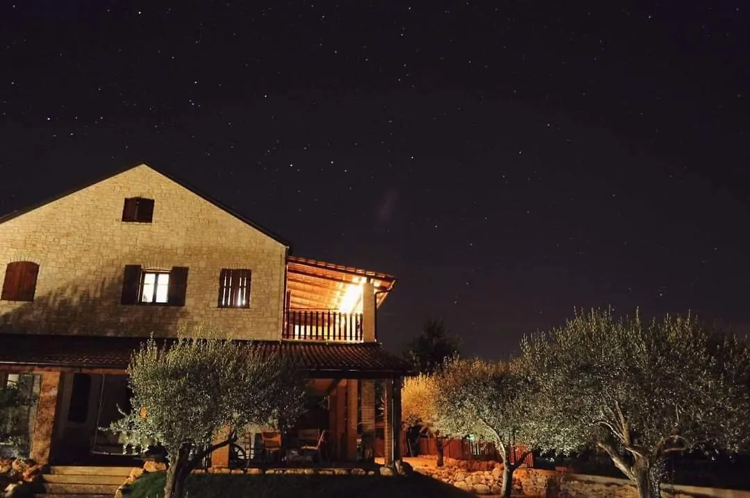 Guest house Apartments Oliva Fiorini